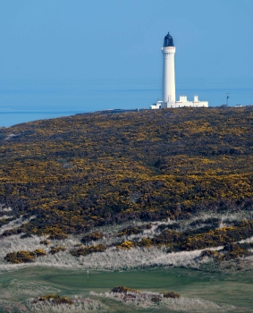 The classic Scottish Golf tease it could be Turnberry to the uninitiated it is in fact a small 9 hole course called Covesea after the lighthouse in the early Spring not that long now the yellow sea of gorse comes alive and we know we are emerging from winters grip.